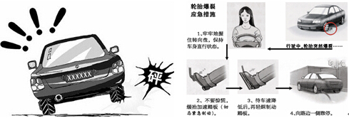 预防交通事故 确保春运安全 6